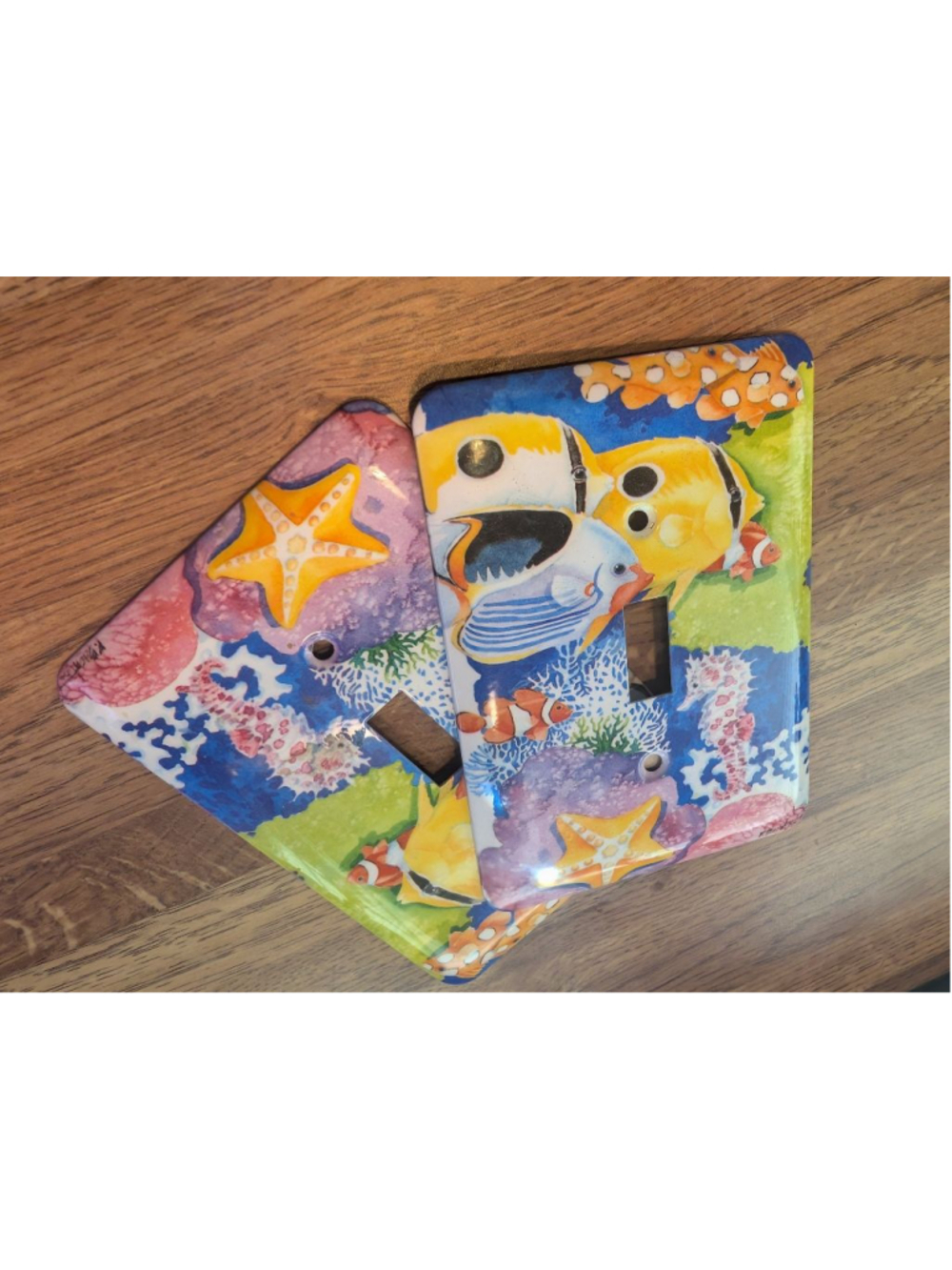 Hand painted Light Switch Covers pair